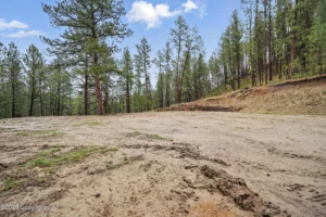 3beef56eeeae52d69fc937a01f7d37c5-uncropped_scaled_within_1536_1152