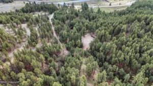 445d389dfa141be4c3559a23d439e546-uncropped_scaled_within_1536_1152