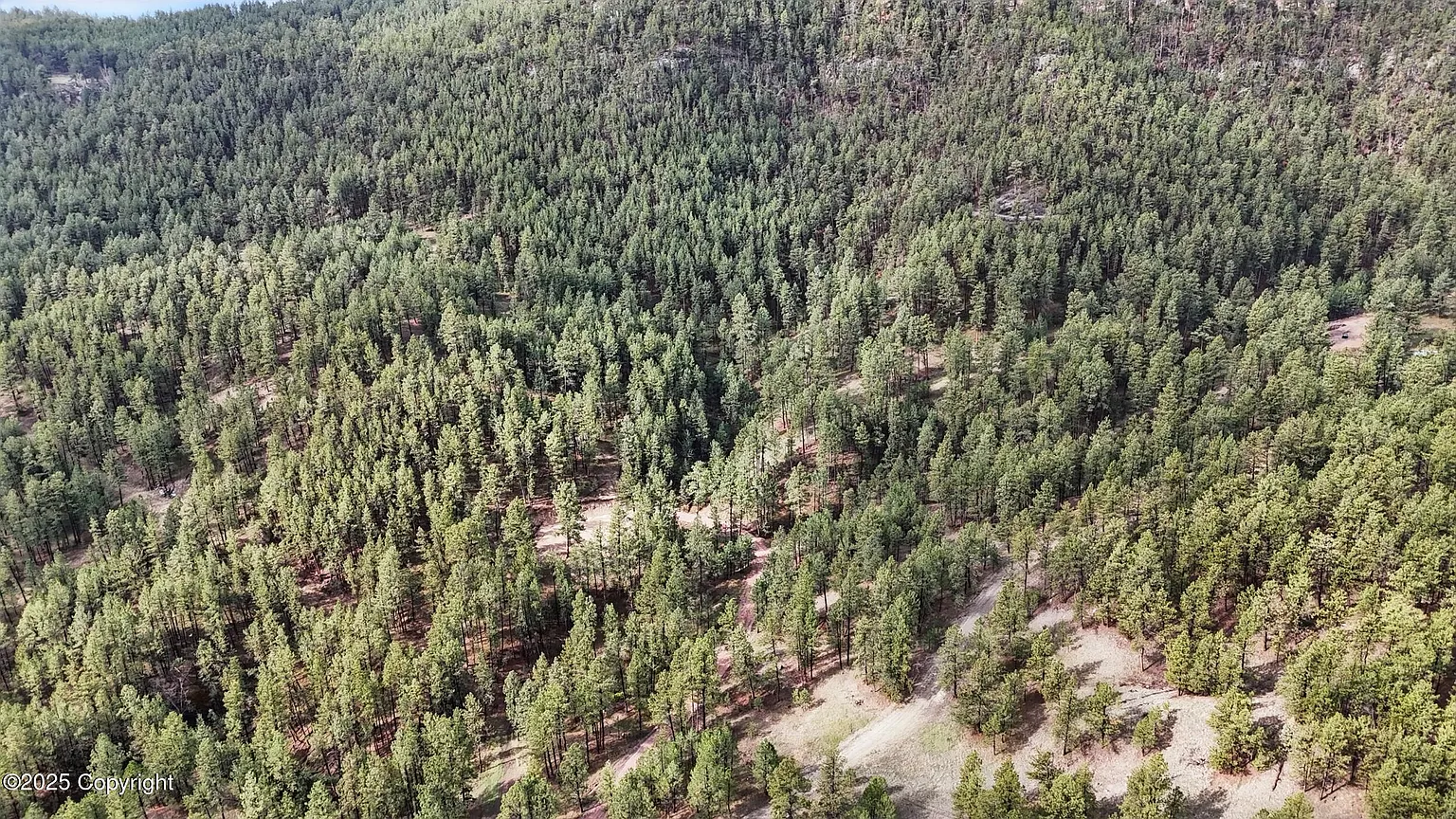 48dae401a251bf934b76172fc0b69b7e-uncropped_scaled_within_1536_1152