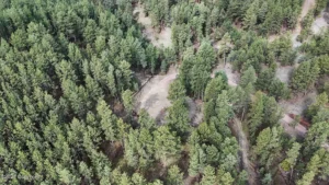 5f681baf407ba8a57ddc91e97863f81c-uncropped_scaled_within_1536_1152