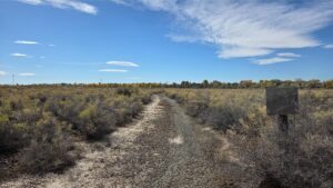 77) ground view of dirt road leading to property