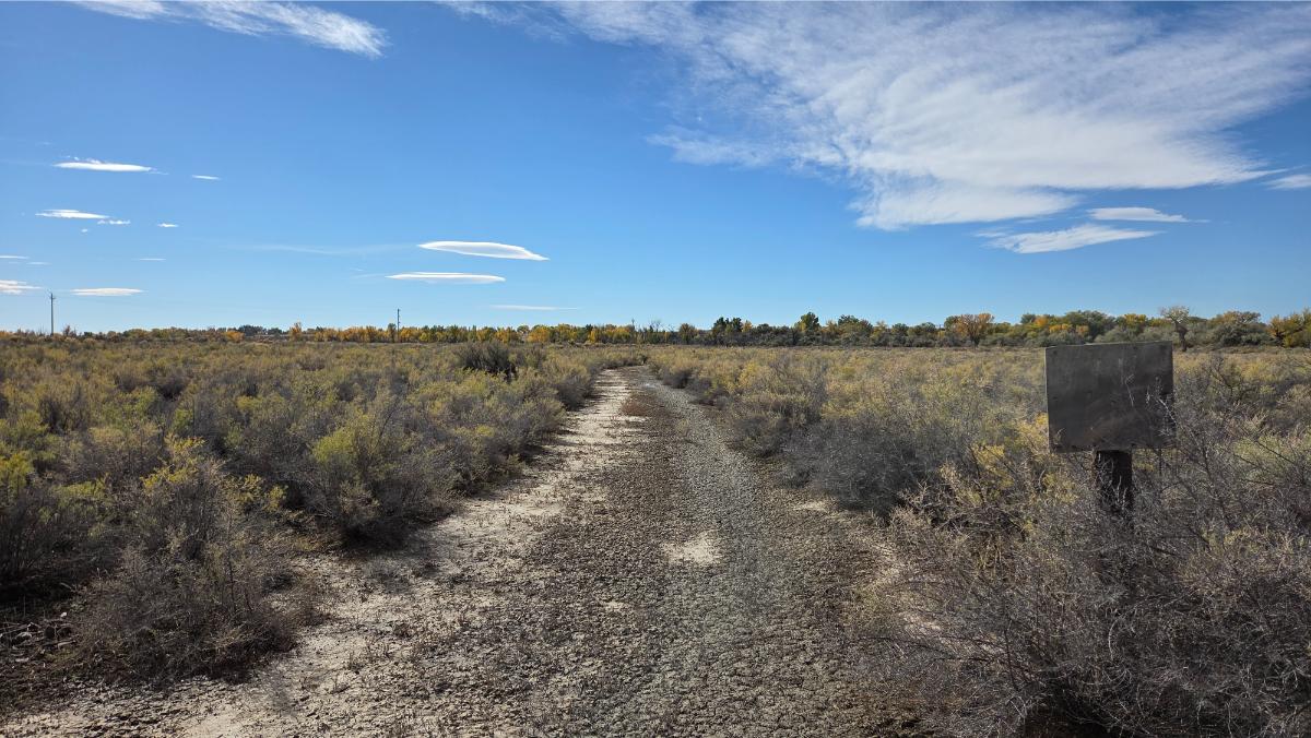 77) ground view of dirt road leading to property