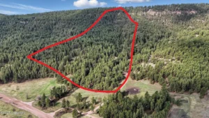 7df341a97ddd0103b67fb86503f6f48c-uncropped_scaled_within_1536_1152