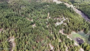 91a9b6ab3364fae893ec101499b999bc-uncropped_scaled_within_1536_1152