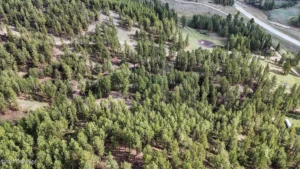 9ad4039bd6ce80d503647912449baf19-uncropped_scaled_within_1536_1152