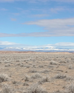 Screenshot 2026-04-14 at 12.27.19 AM