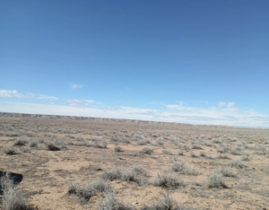 Screenshot 2026-04-14 at 12.27.30 AM