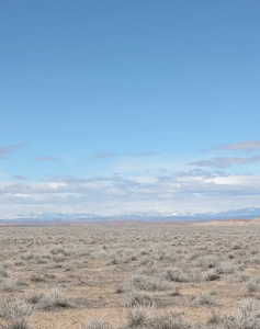 Screenshot 2026-04-14 at 12.27.39 AM