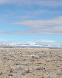 Screenshot 2026-04-14 at 12.27.56 AM