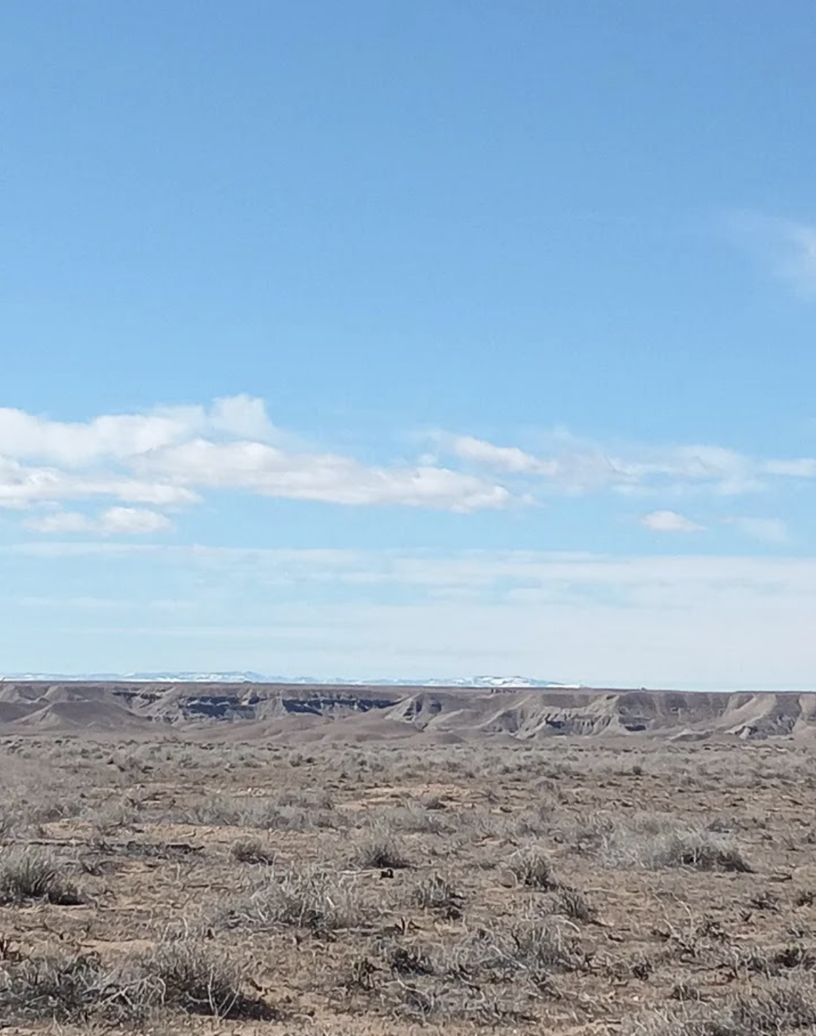 Screenshot 2026-04-14 at 12.28.06 AM