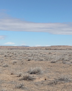 Screenshot 2026-04-14 at 12.28.19 AM