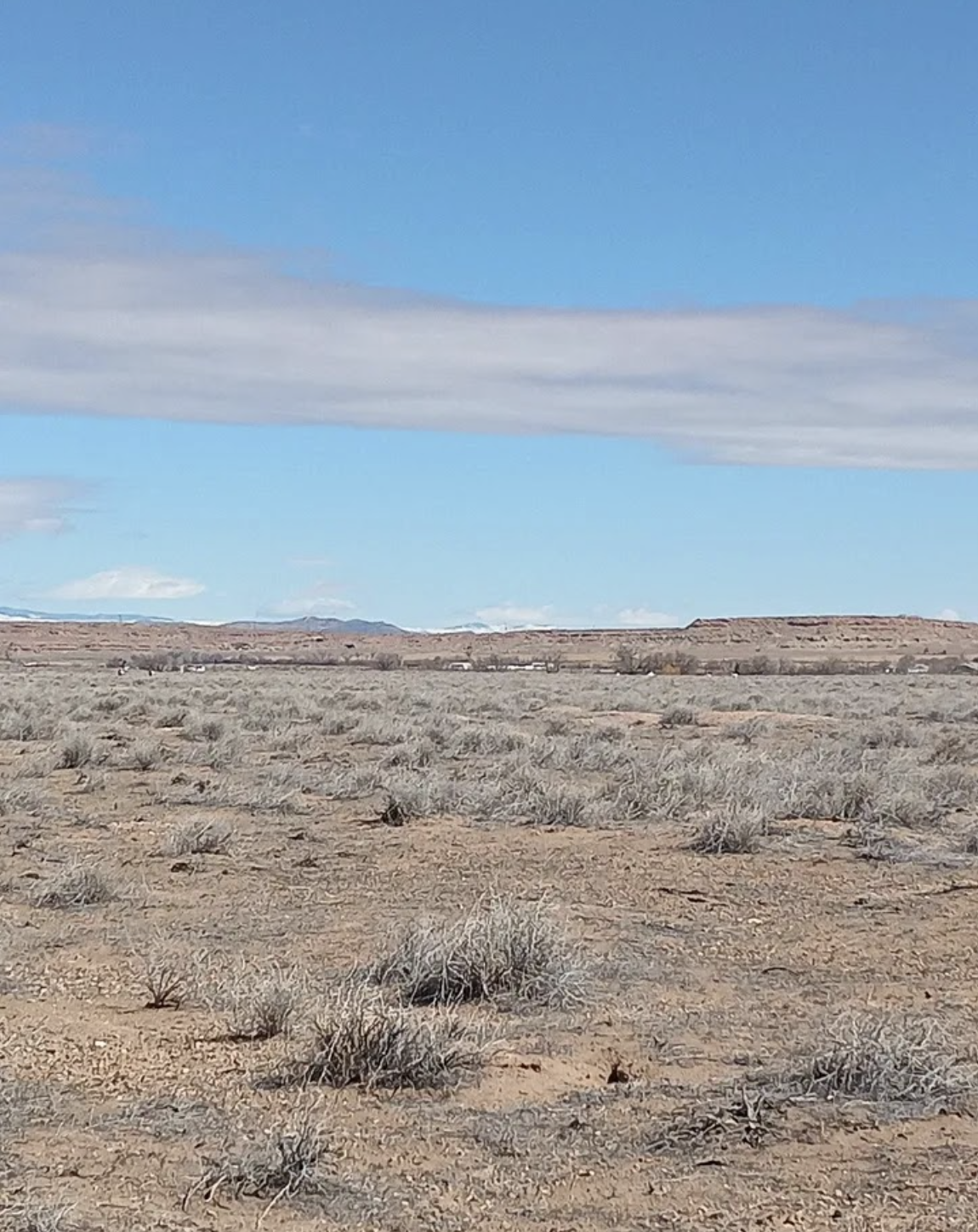 Screenshot 2026-04-14 at 12.28.19 AM