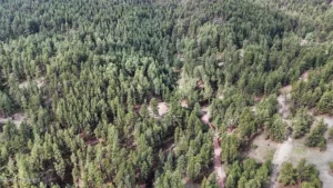 c327ddad26846cb083fd60ee94fc018b-uncropped_scaled_within_1536_1152