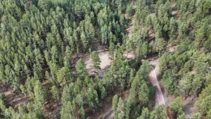 ce3dc1a764c39dcb4485a6cf337d4ee3-uncropped_scaled_within_1536_1152