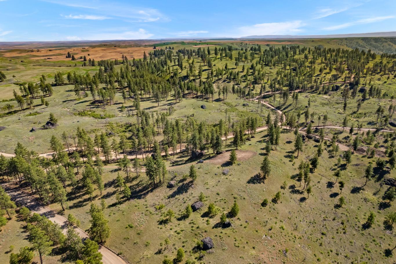 DJI_0325 (1)