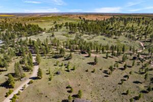 DJI_0326