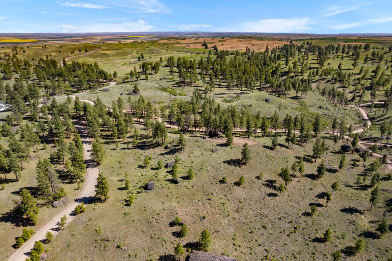 DJI_0326
