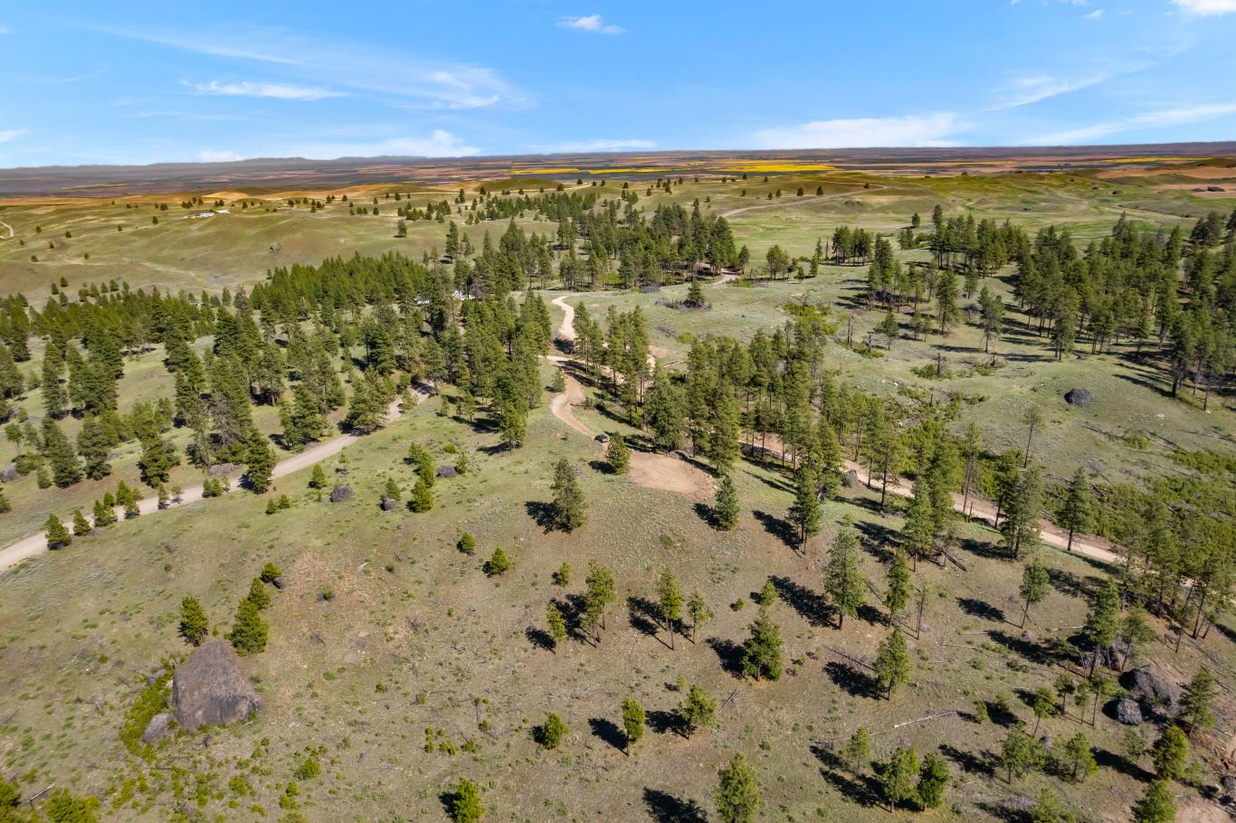 DJI_0328