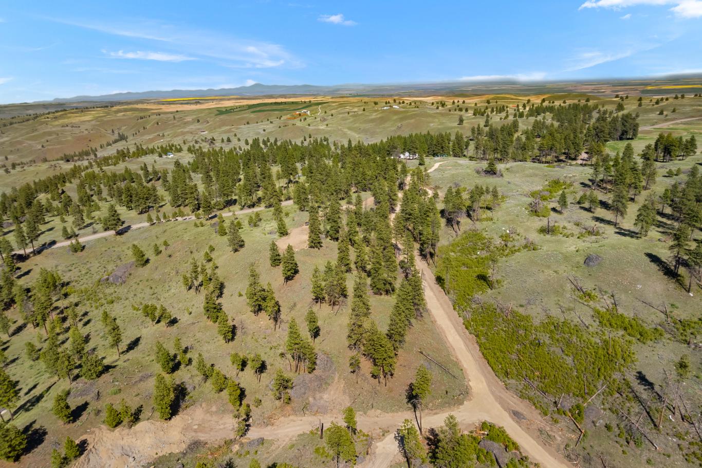 DJI_0330
