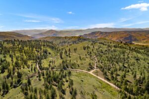 DJI_0335