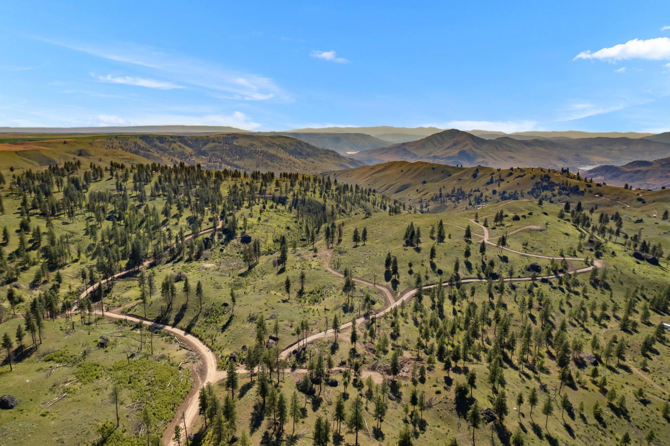DJI_0337 (1)
