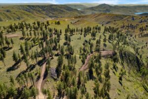 DJI_0338