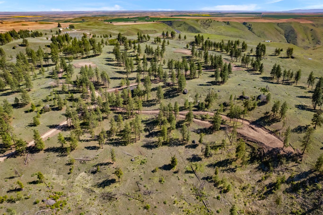 DJI_0341