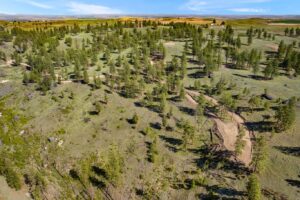 DJI_0342