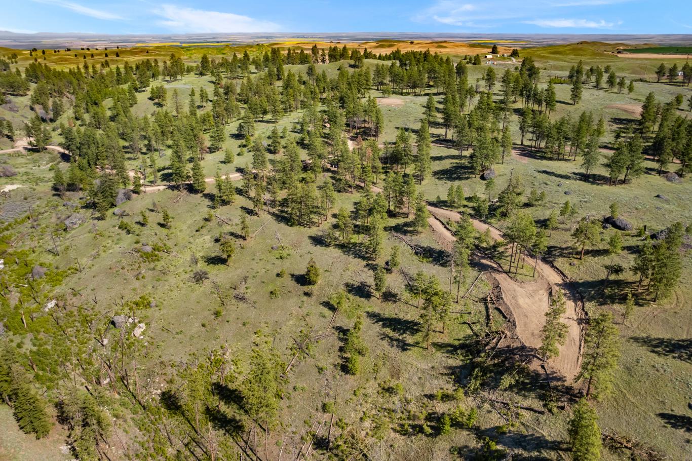 DJI_0342