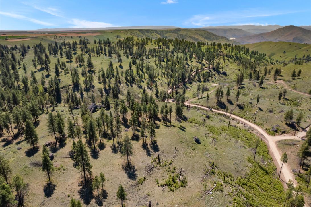 DJI_0482