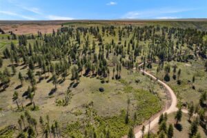DJI_0483