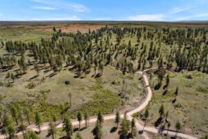 DJI_0484