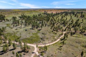 DJI_0485