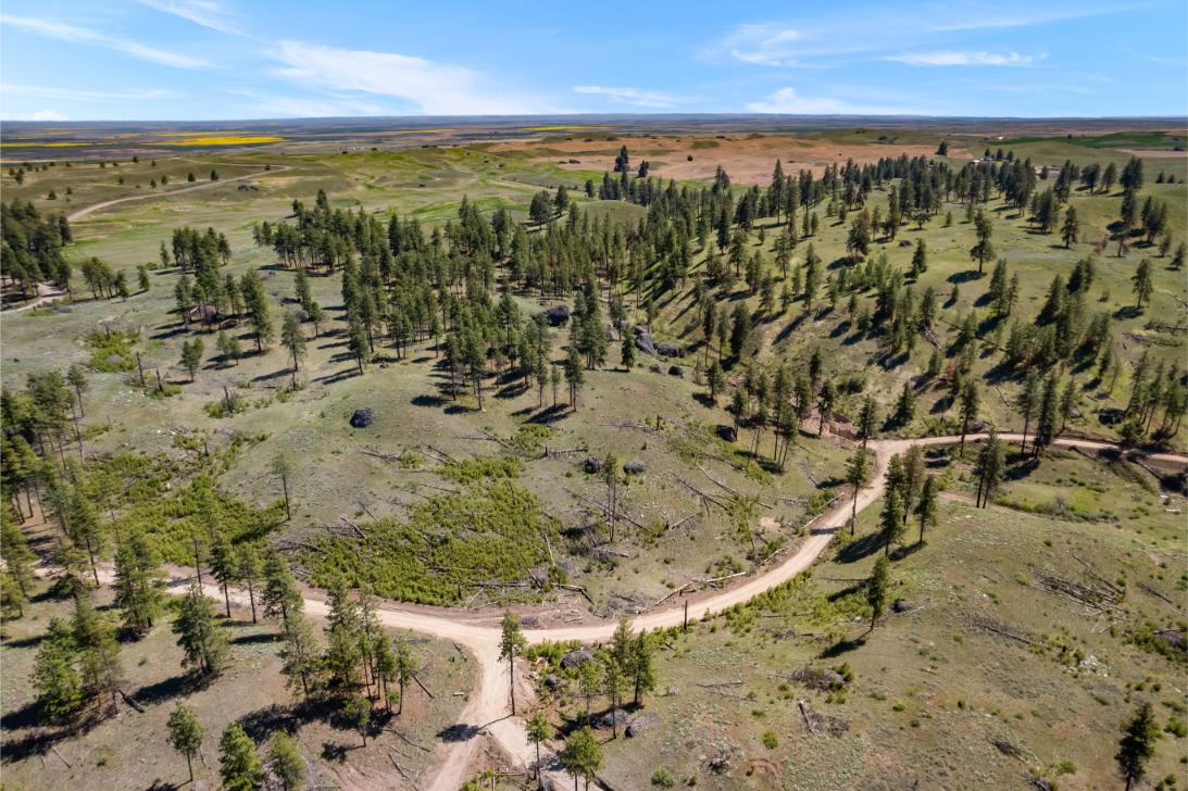 DJI_0485
