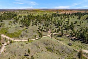 DJI_0486