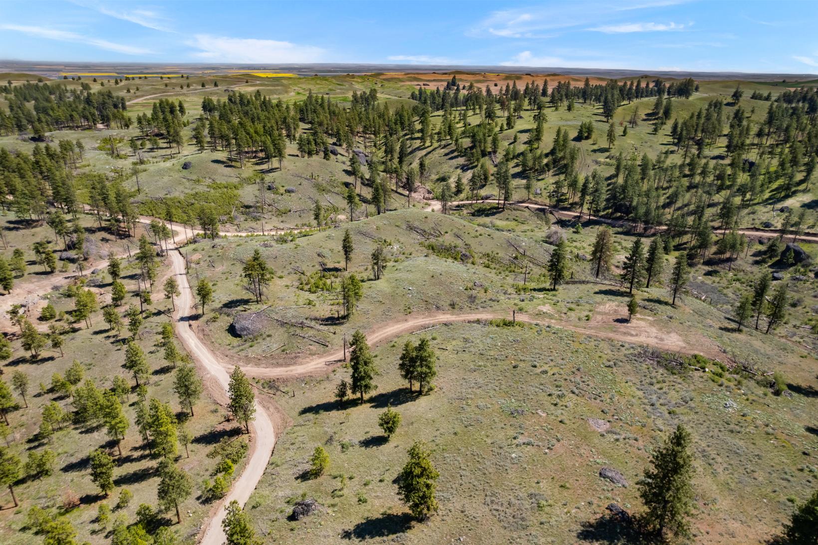 DJI_0487