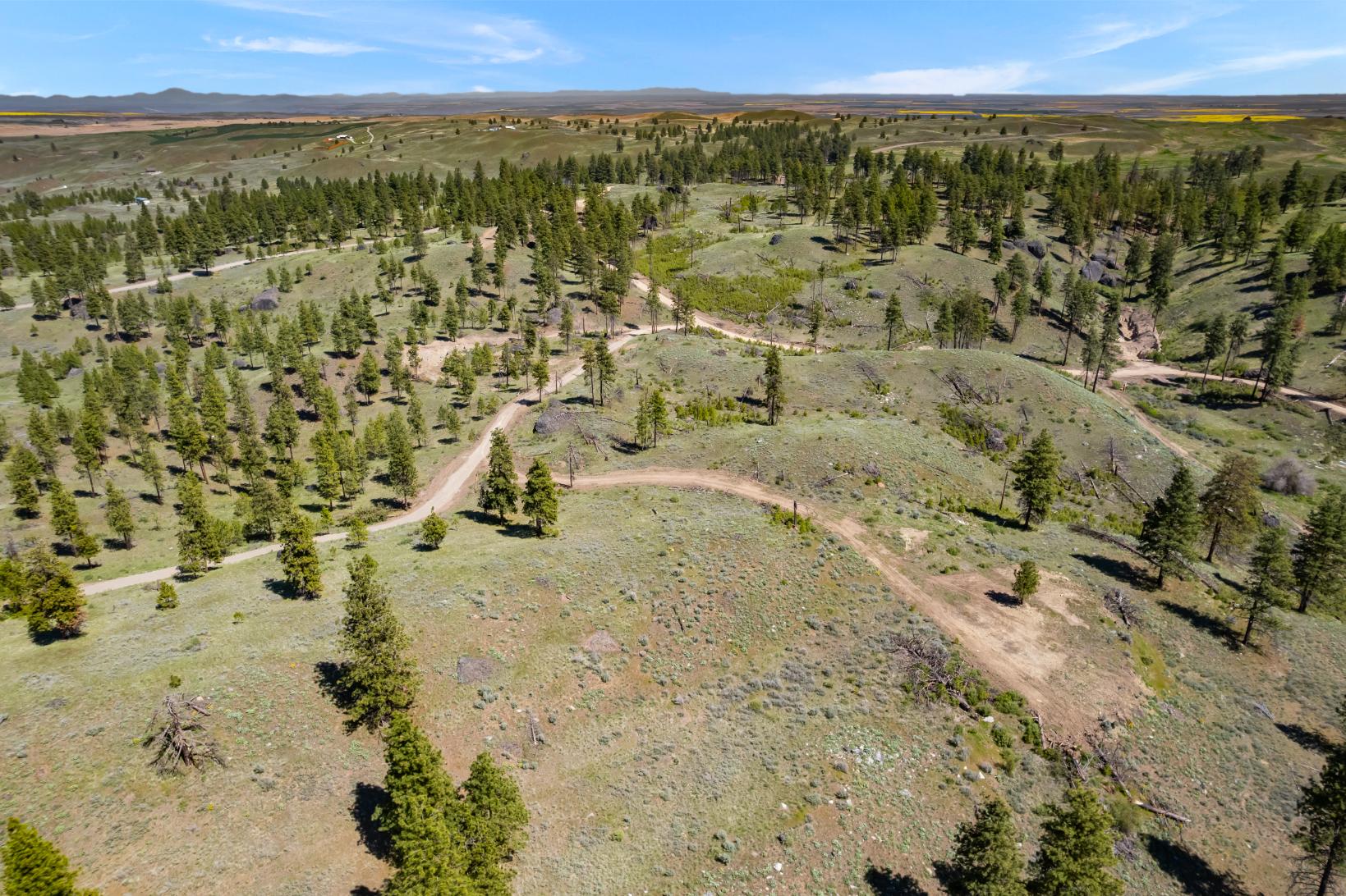 DJI_0488