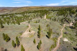 DJI_0490