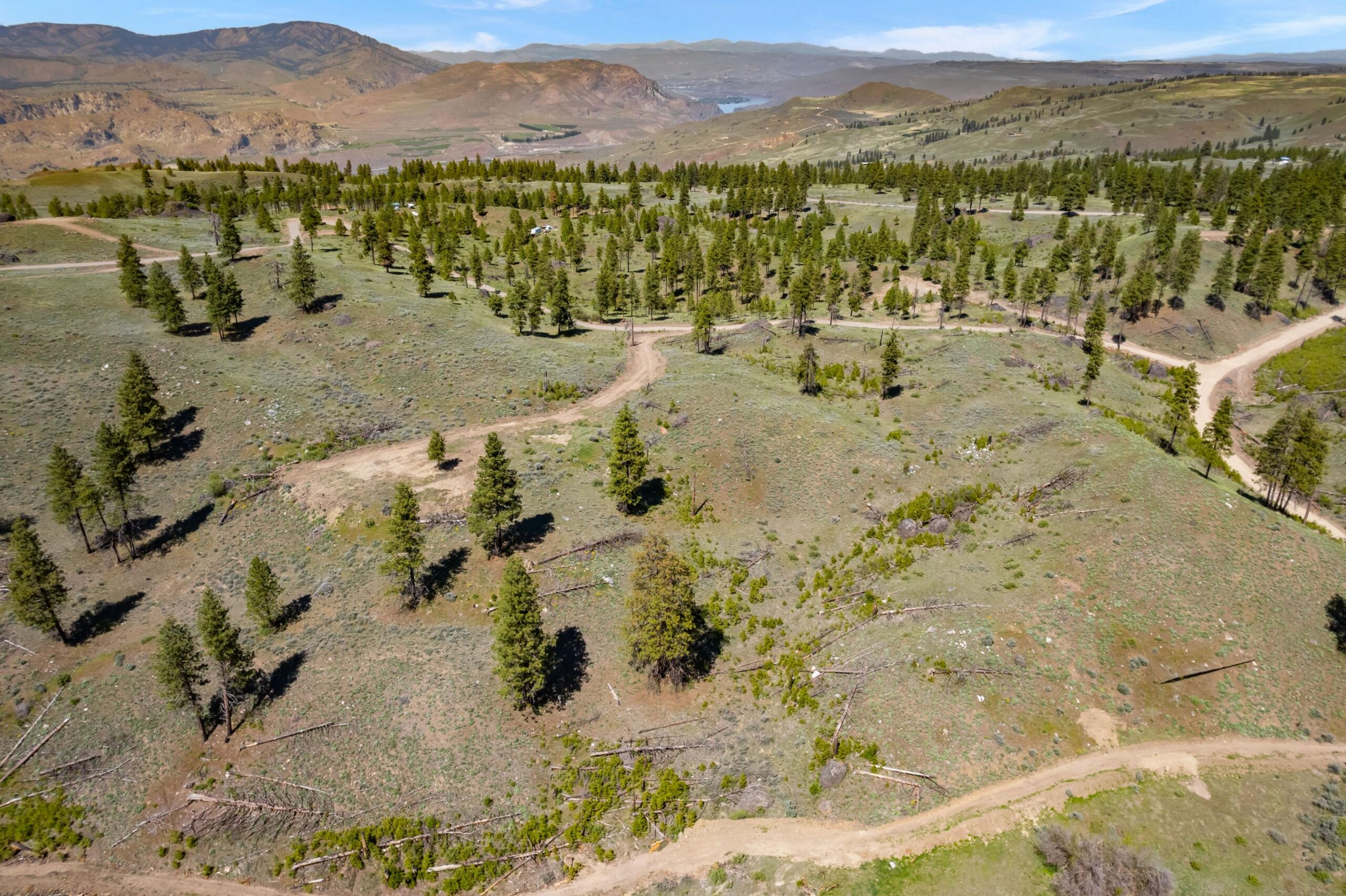 DJI_0492