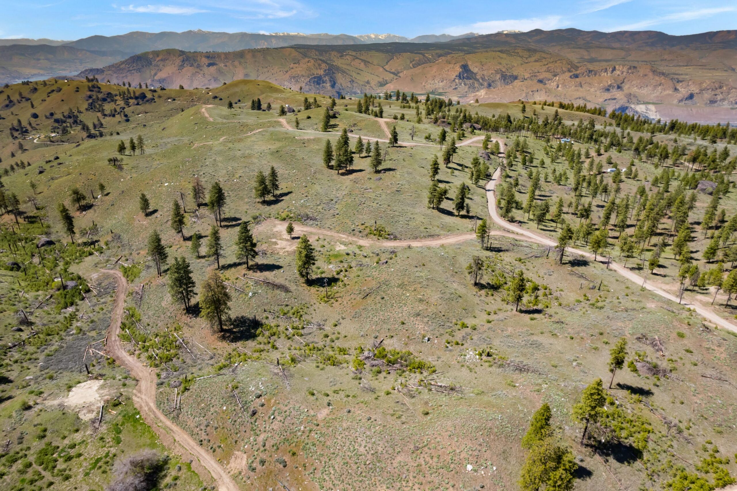 DJI_0494