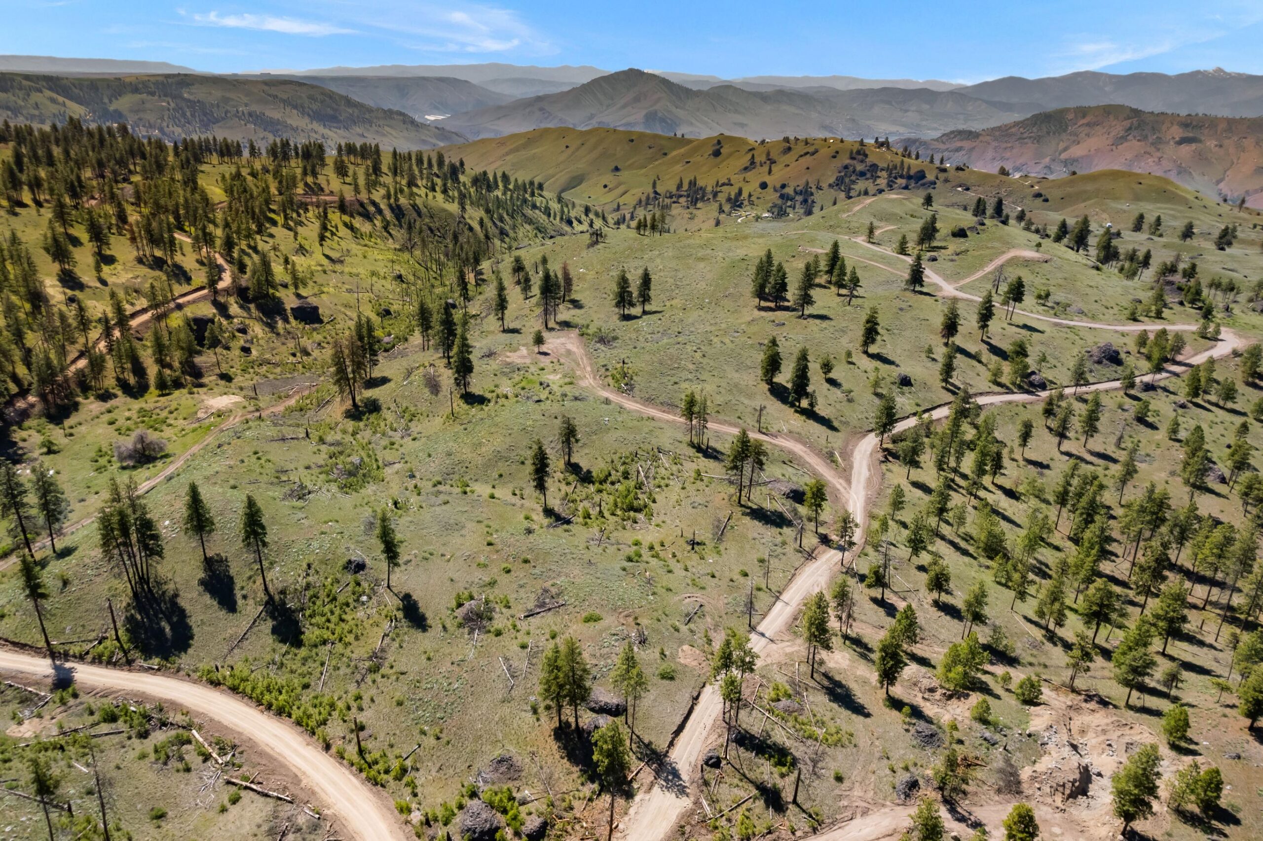 DJI_0496