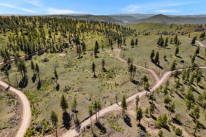 DJI_0497