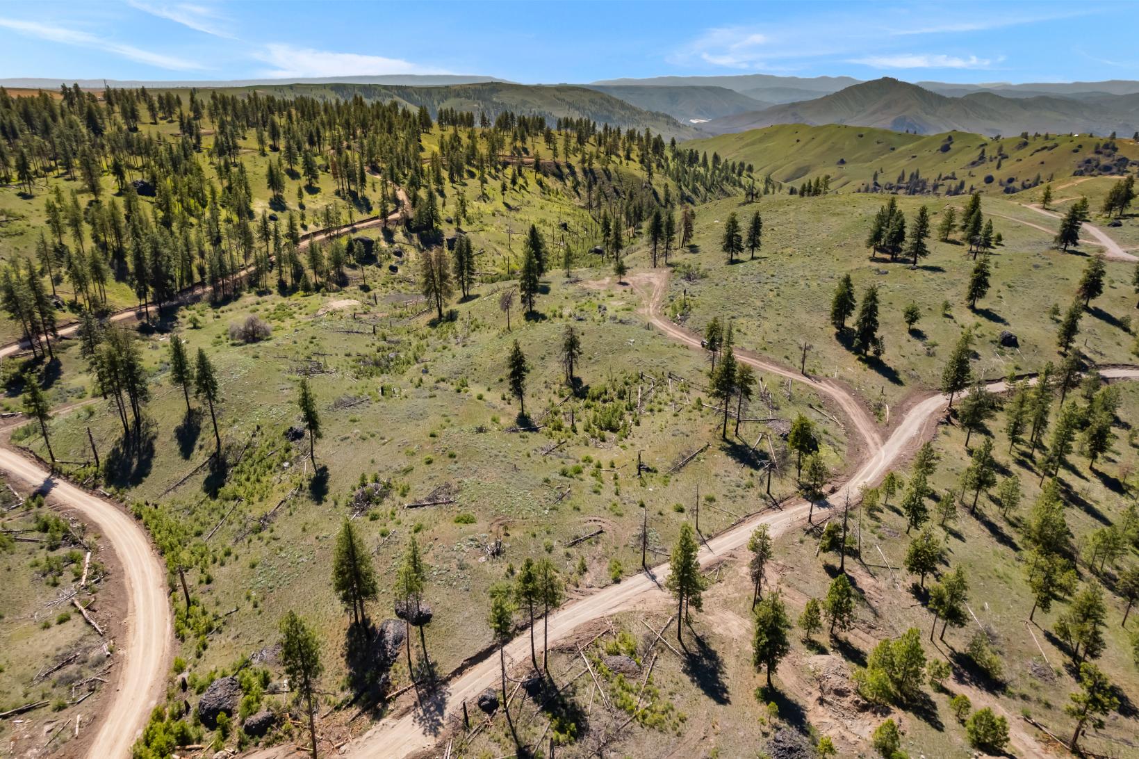 DJI_0497