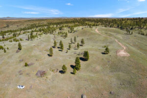 DJI_0513