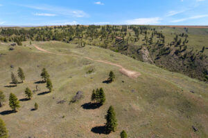 DJI_0514