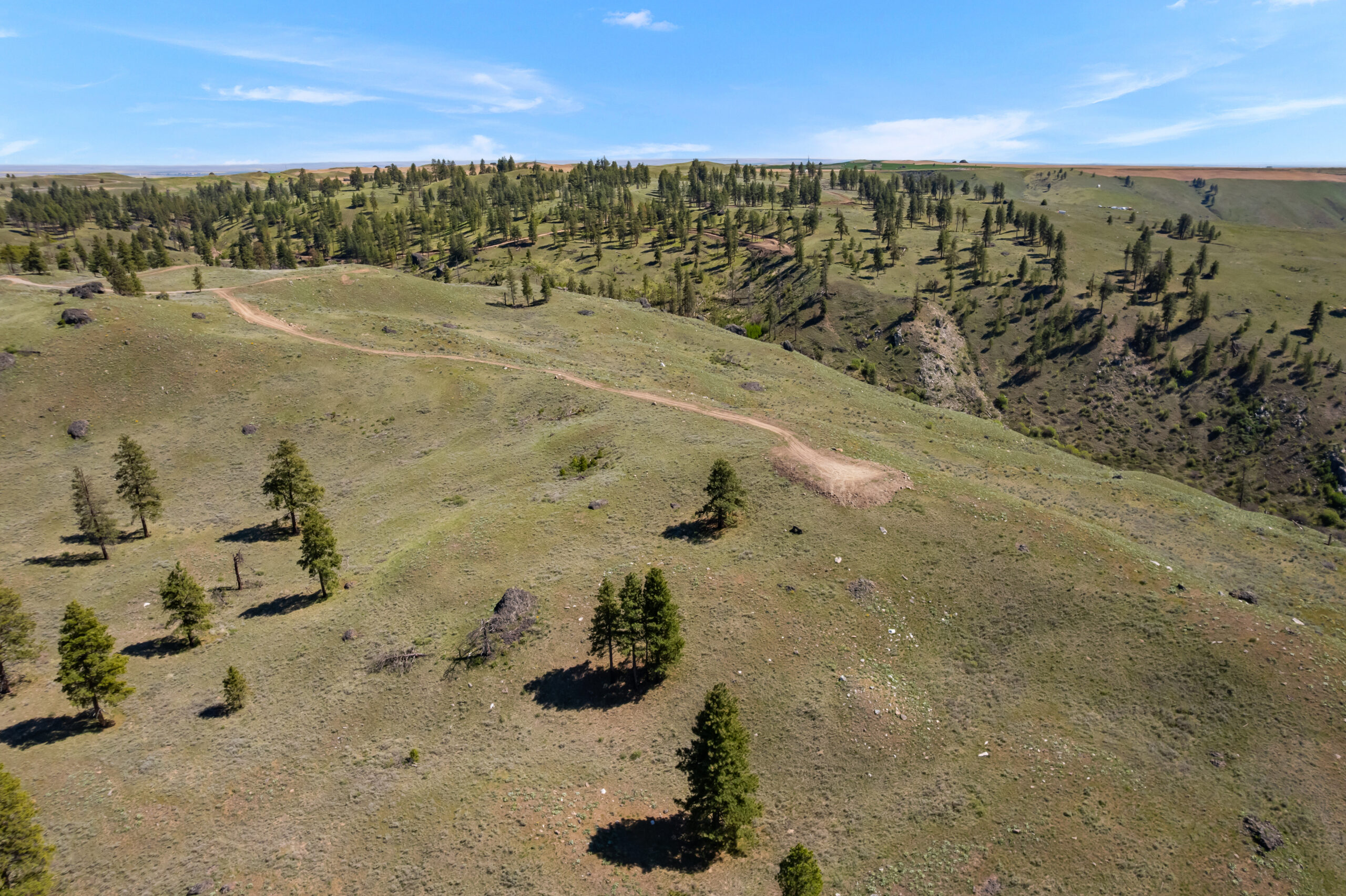DJI_0514