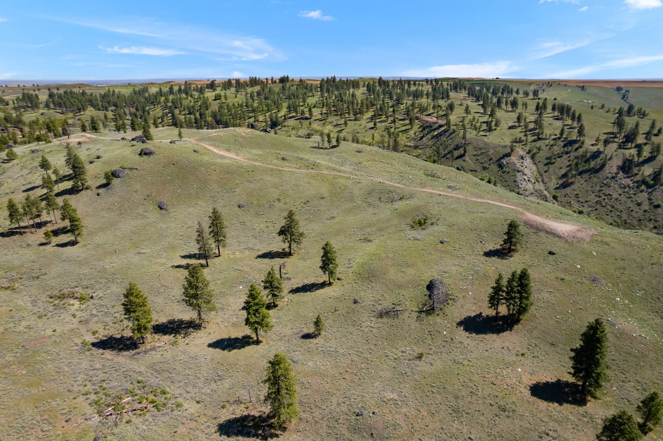 DJI_0515