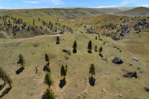 DJI_0516