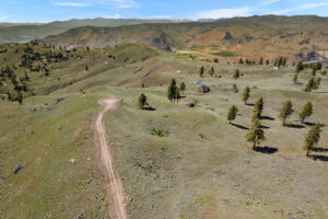 DJI_0519