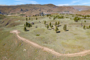 DJI_0520 (2)